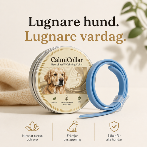 CalmiCollar – Your aid against stress and anxiety in your dog