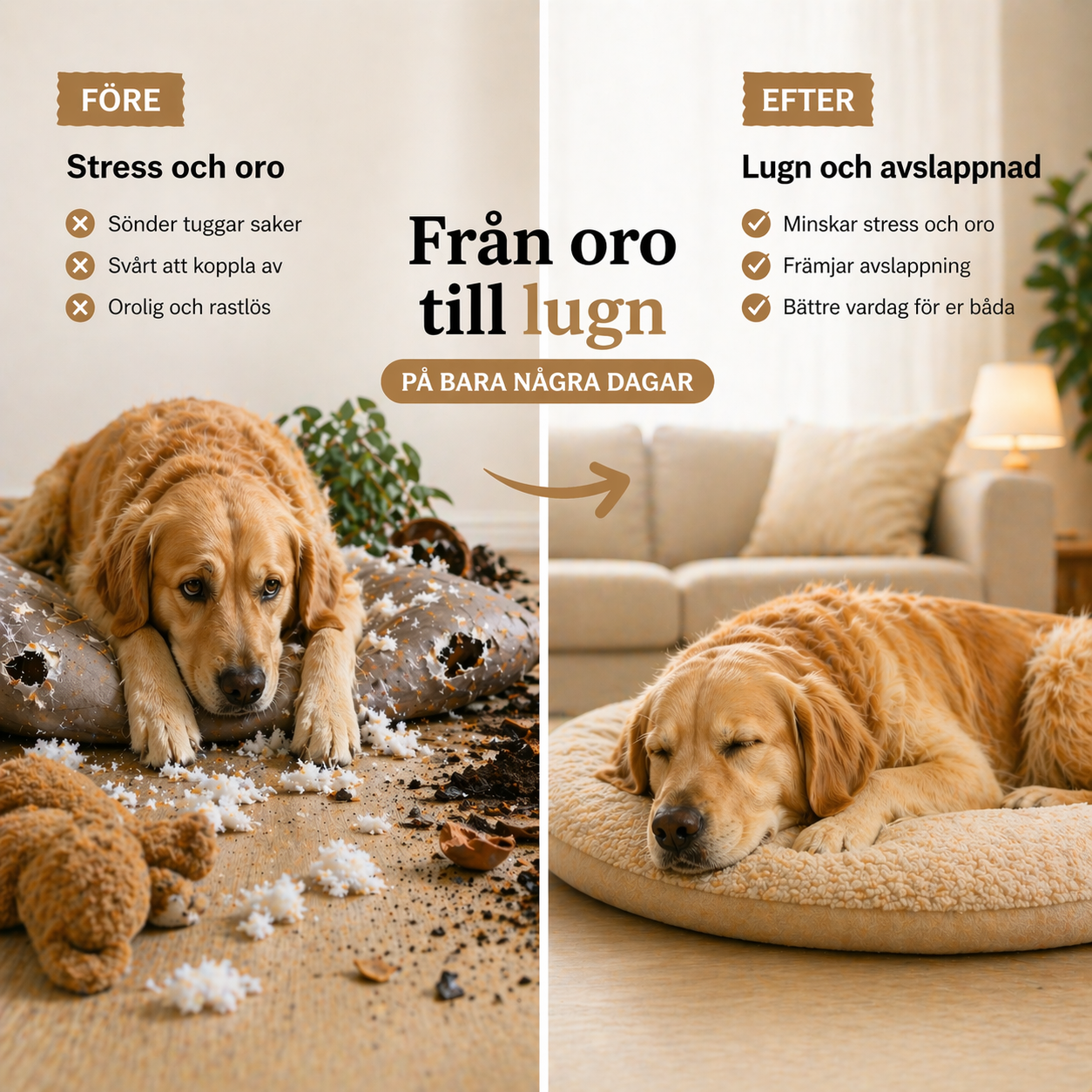 CalmiCollar – Your aid against stress and anxiety in your dog