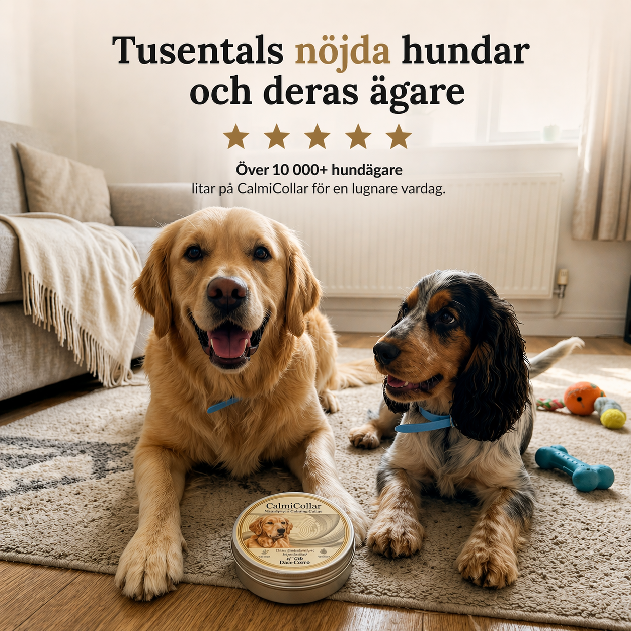 CalmiCollar – Your aid against stress and anxiety in your dog