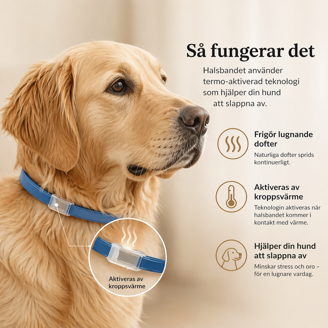 CalmiCollar – Your aid against stress and anxiety in your dog